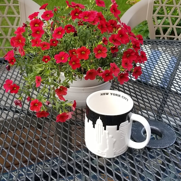 Starbucks Other - Starbucks New York City Collectors Mug EUC